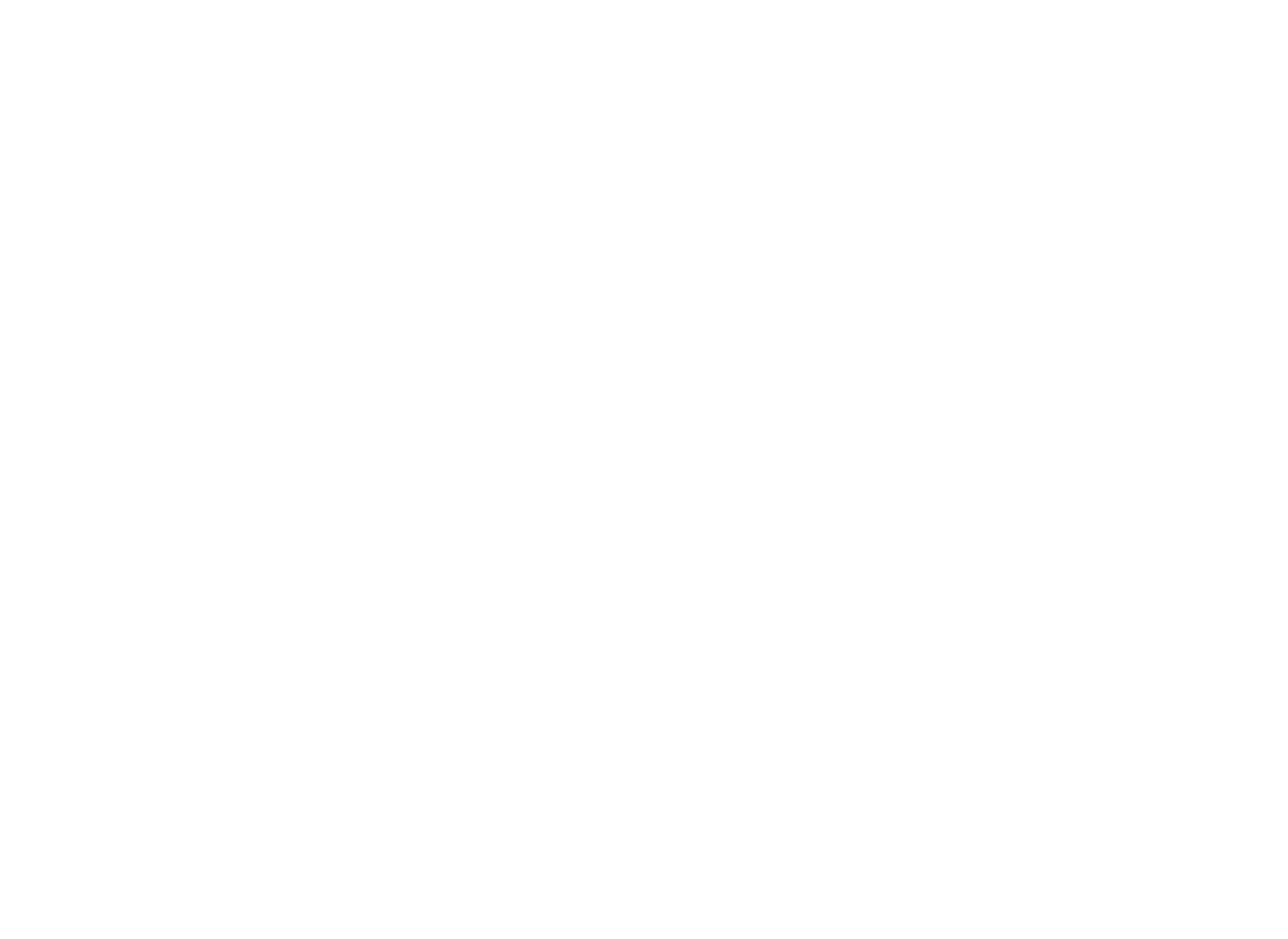 MORI INTERNATIONAL GLOBAL CO.